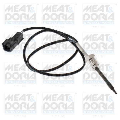 Sensor, exhaust gas temperature